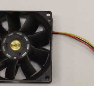 Top Fan  – 176F3166